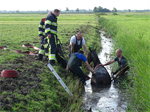 Prio 2 Dier te Water Paard Dykhuzen Gerkesklooster